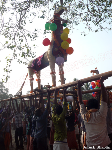 mangad-pooram-2012 (30)